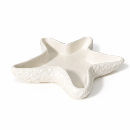 شكل نجمة البحر لون ابيض