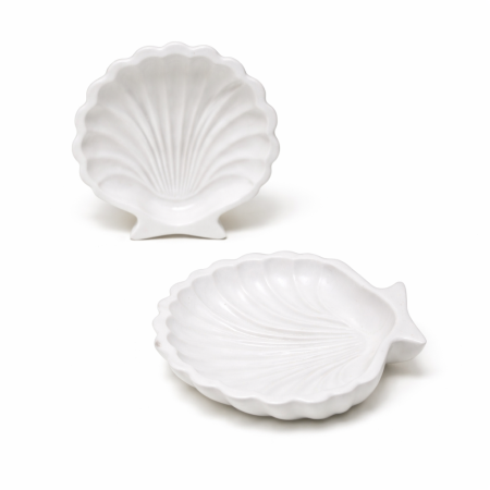 شكل كوستر الصدفه