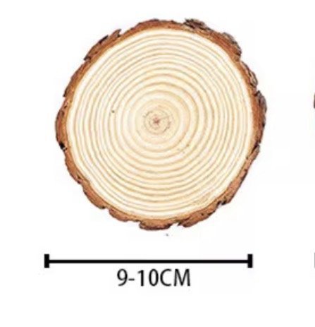 كوسترات حطب طبيعي حجم صغير 12 قطعه