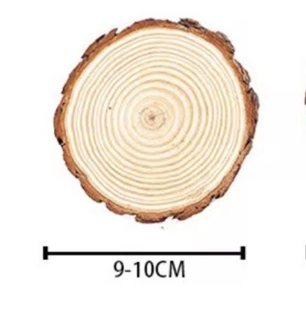 كوسترات حطب طبيعي حجم صغير 12 قطعه
