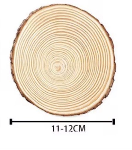 كوسترات حطب طبيعي حجم كبير 12 قطعه
