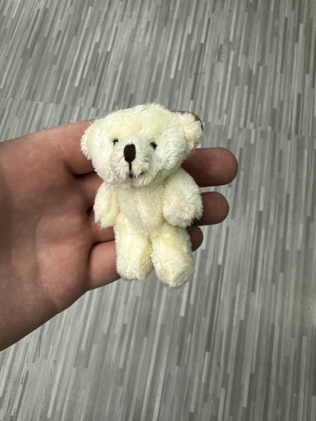 دب لون ابيض