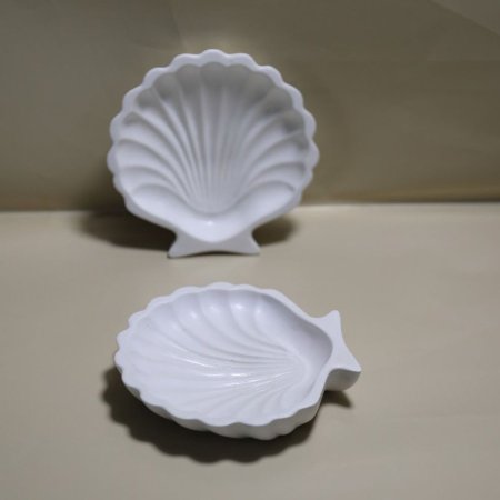 شكل كوستر الصدفه