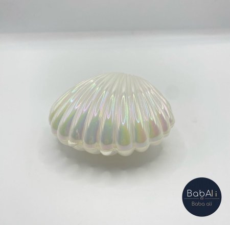 صدف لون ابيض