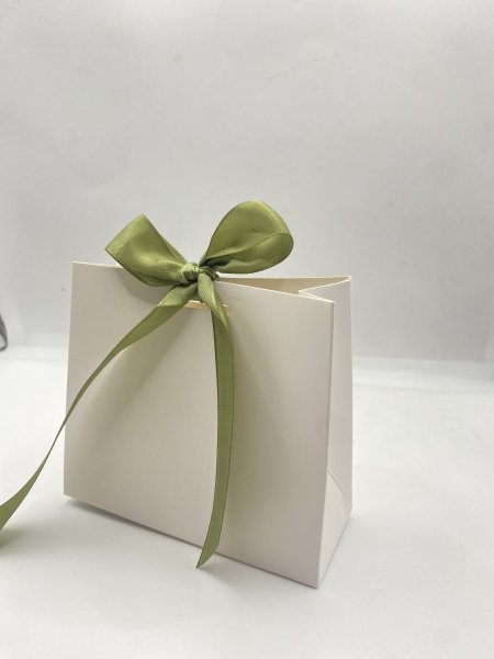 كيس كرتون ابيض مع شبره لون اخضر (10 قطع)